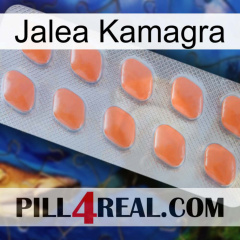 Jelly Kamagra 26